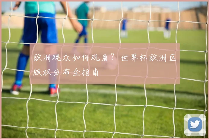 欧洲观众如何观看？世界杯欧洲区版权分布全指南