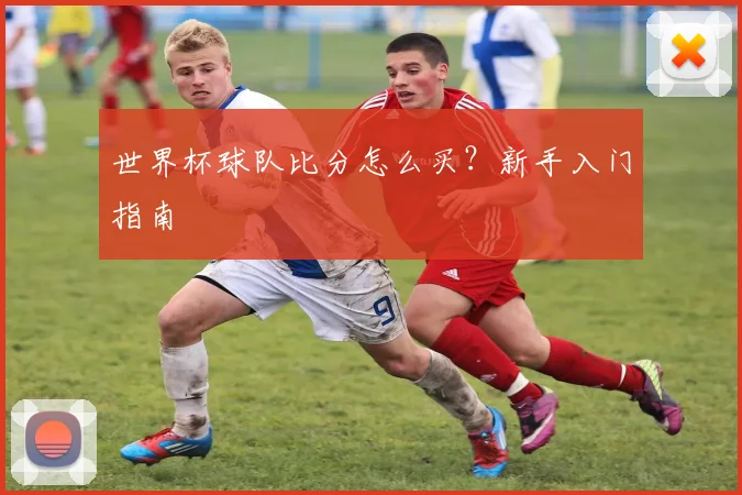 世界杯球队比分怎么买？新手入门指南