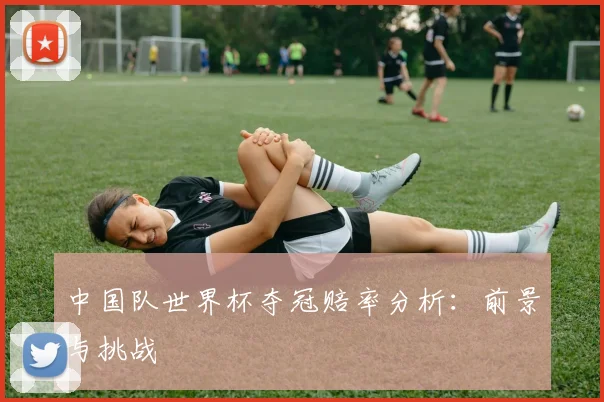 中国队世界杯夺冠赔率分析：前景与挑战