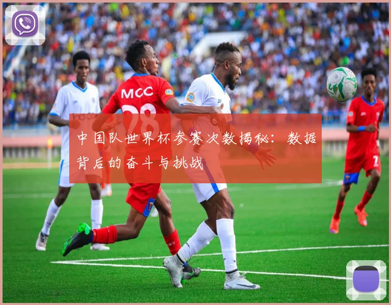 中国队世界杯参赛次数揭秘：数据背后的奋斗与挑战