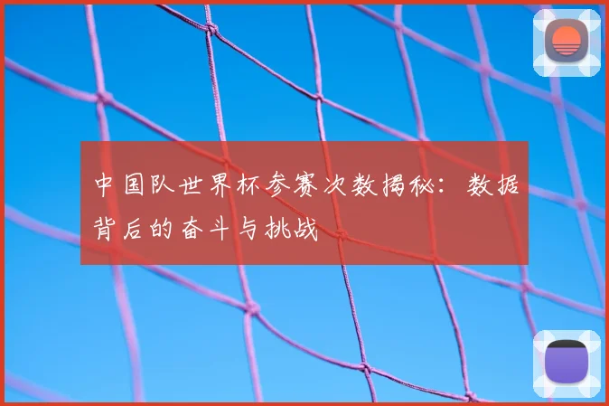 中国队世界杯参赛次数揭秘：数据背后的奋斗与挑战